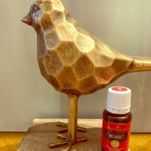 15 mL Melrose Young Living